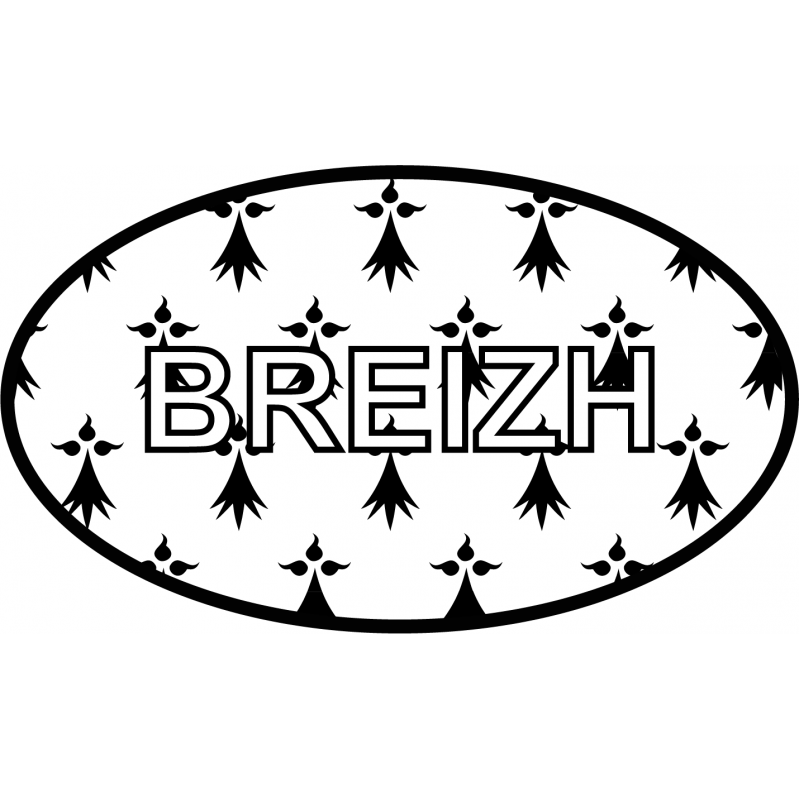 Stickers Plaques Immatriculation Département 22 Bretagne Breizh - Lot De 4 Autocollants Noirs à Angles Carrés - Fabrication Française, Vinyle Résistant