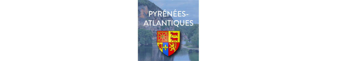 Autocollants Plaque Immatriculation Département 64 Pyrénées-Atlantiques - Lot De 2 Stickers Vinyle 10,2x4,6cm - Fabriqué En France, Durée 5-7 Ans Extérieur